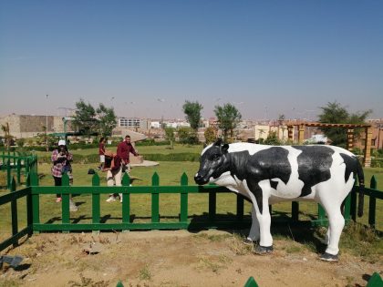 تدريب عملي لطلاب الأكاديمية البحرية بالمركز الثقافي الإفريقي بأسوان